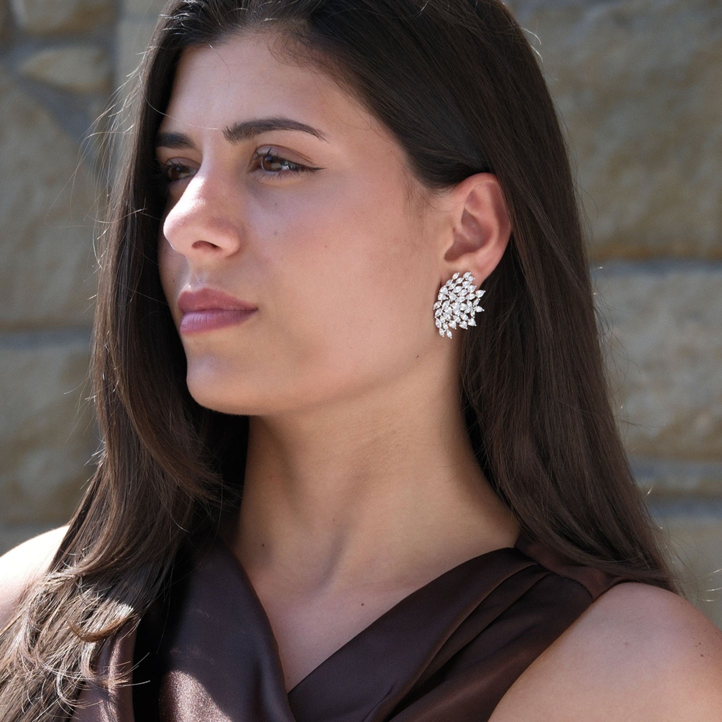 Orecchini Astro grande - Argento