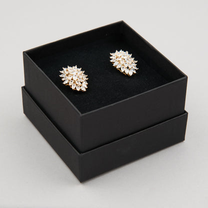 Orecchini Astro grande - Oro